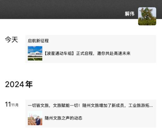 网红文旅局长解伟提前退休入职民企